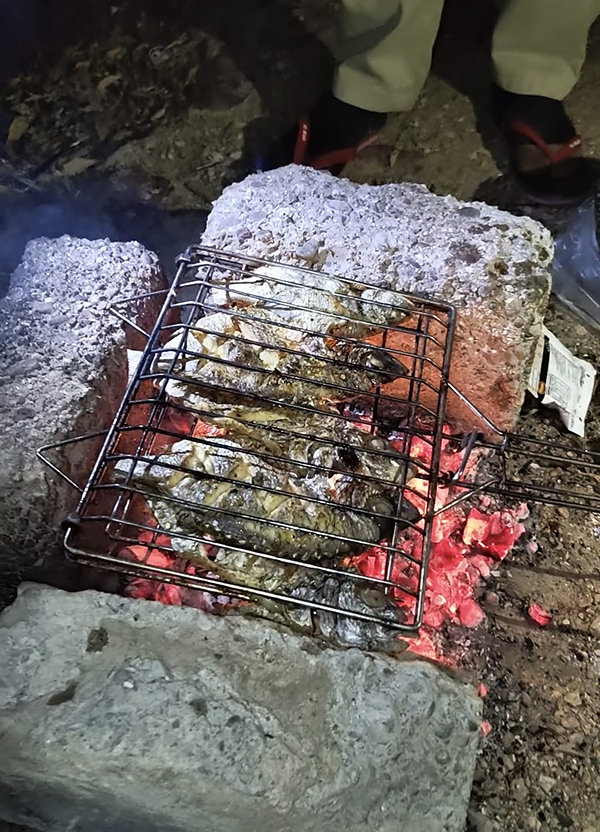 Fish barbecue over coals — Karachi