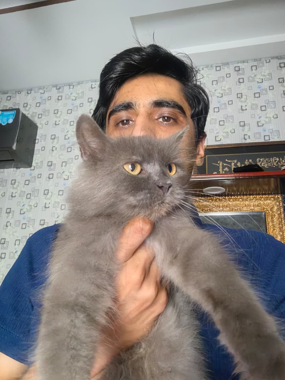 Me with my grey cat